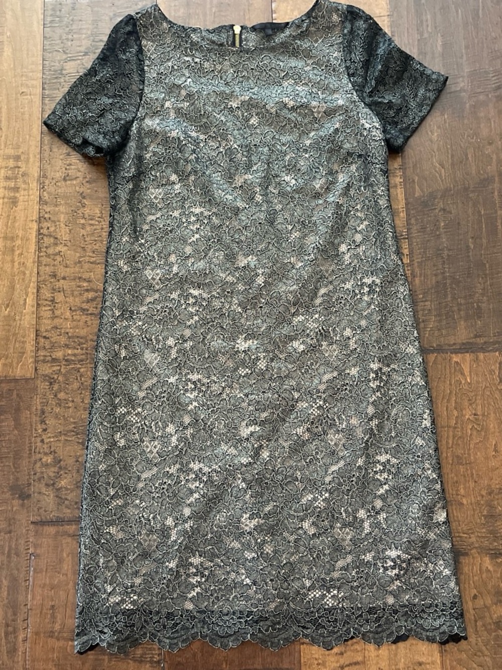Felicity & Coco metallic lace shift dress with shimmering floral lace overlay M